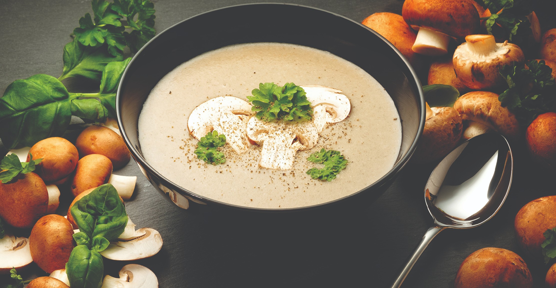 Mushroom soup